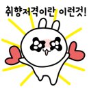 안경콘택트바오신림점 이미지