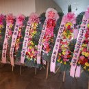 육육플라워