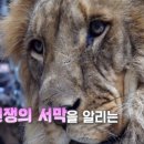 다금농장 이미지