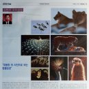 조동농장 이미지