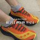 엔돌핀 | 초보 러너가 신어도 좋은 카본화 써코니 엔돌핀 프로4 후기