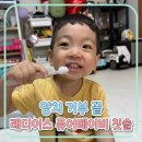 래디어스 유아칫솔, 양치 거부 끝낸 아기칫솔 찐 후기!