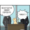 카카오뱅크 카드 쓰는 눈아들 있어? 이미지