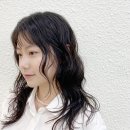 아브헤어 이미지