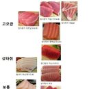 마곡참치정육점 네이버블로그