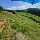 정선목장 이미지