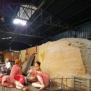 가마스넥 이미지