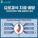 요로메디 이미지