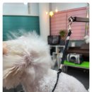 베니펫살롱 이미지