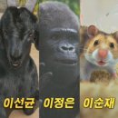 미스터 주 이미지