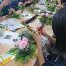 세실리아스 이미지