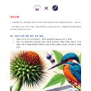 잉글리더어학원