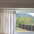 신정길 77 이미지