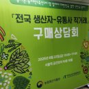 홍주농장 | 강화도 샤론포도농원 구매상담회 후기│샤인머스켓·캠벨얼리·홍주씨들리스 전국 유통사 입점 기회