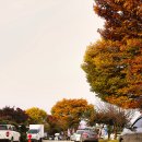 극동낚시터 이미지