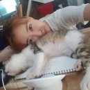 매니아인테리어필름 네이버블로그