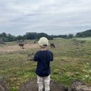 성산농장3 이미지