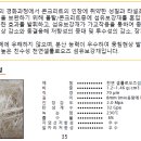 섬유보강재(와이어메시) 대체 콘크리트 첨가재 이미지