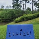 펜타곤-X PC클럽 | 삼일절 🇰🇷 여주 소피아그린CC 라운드 솔직후기 | 공휴일 티타임 전쟁 실화 🔫