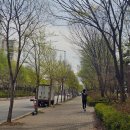 용수그린랜드 이미지