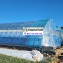 시아하우스 이미지