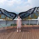 청풍스카이 이미지