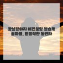 송파건강생활