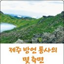 제주블루스 이미지