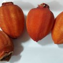 산내농장 이미지