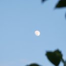 별마로 농장 이미지