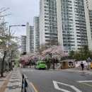 성모드림정신건강의학과의원 이미지