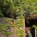 씨유 성남고등대왕점 | 분당 카페 종화, 애견 동반 가능 / 주차 / 노트북 카페 / 분당 데이트