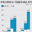 쇼핑사자