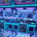 뽑고가냥 이미지