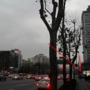 SK부동산컨설팅 이미지