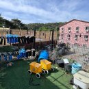 솔메이트 이미지