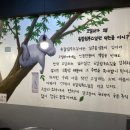코알라포차 네이버블로그