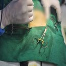 도그앤피플 동물병원 이미지