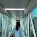 협재스테이 | 불멍이 있는 감도높은 숙소, 안도스테이. 제주 한림/협재 프라이빗 독채 펜션추천. (BTS 뮤비나온 거기!)