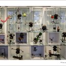 쁘띠(Petit) 이미지