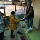 목동초등학교 이미지