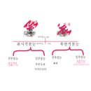 전대 번역.일반 행정사 네이버블로그