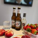 스페인 바르셀로나 호텔 I 룸 메이트 파우 (Room Mate Pau) 3박 4일 후기