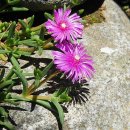 정수산장펜션 이미지