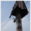 창호목장 이미지