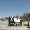 서울대공원 벚꽃 구경 동물원 리프트 코끼리열차 후기 주차 꿀팁, 동물원 지도 첨부
