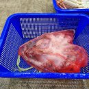 대운수산 이미지