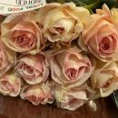 무명농장 이미지