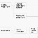 의학상식 - 요통의 증상과 치료대책 이미지