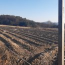 노은면사무소 이미지